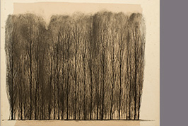Monotype - Groupe d'arbres - Gérard Jan