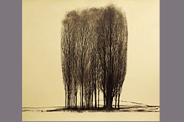 Monotype - Rangée d'arbres - Gérard Jan