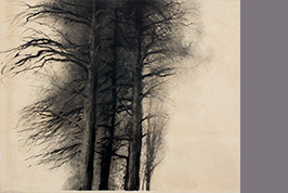 Monotype - Trois arbres - Gérard Jan