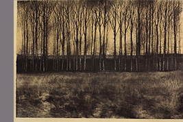 Monotype - Lisière du champ - Gérard Jan