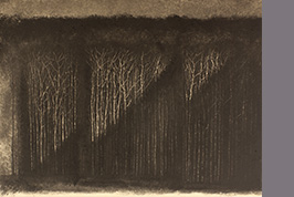 Monotype - Lumière, foret - Gérard Jan