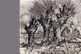 Gravure - Trois arbres - Gérard Jan