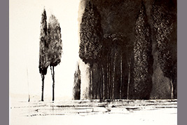 Monotype - Jardins, Palazzo Farnese - Gérard Jan