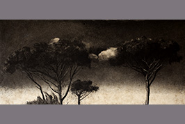 Monotype - Cîmes des pins - Gérard Jan