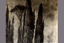 Monotype - Cyprés et pins, Villa d'Este - Gérard Jan