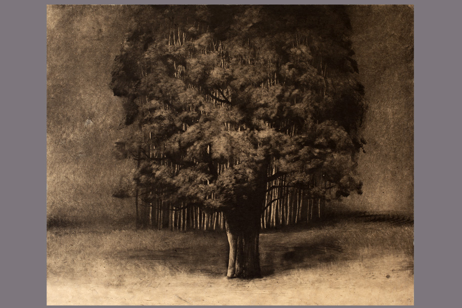 Monotype - L'arbre qui cache la forêt - Gerard Jan