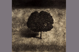 Monotype - Petit arbre solitaire - Gérard Jan