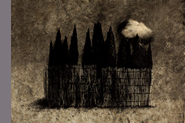 Monotype - Cyprès, canisses et nuage - Gérard Jan
