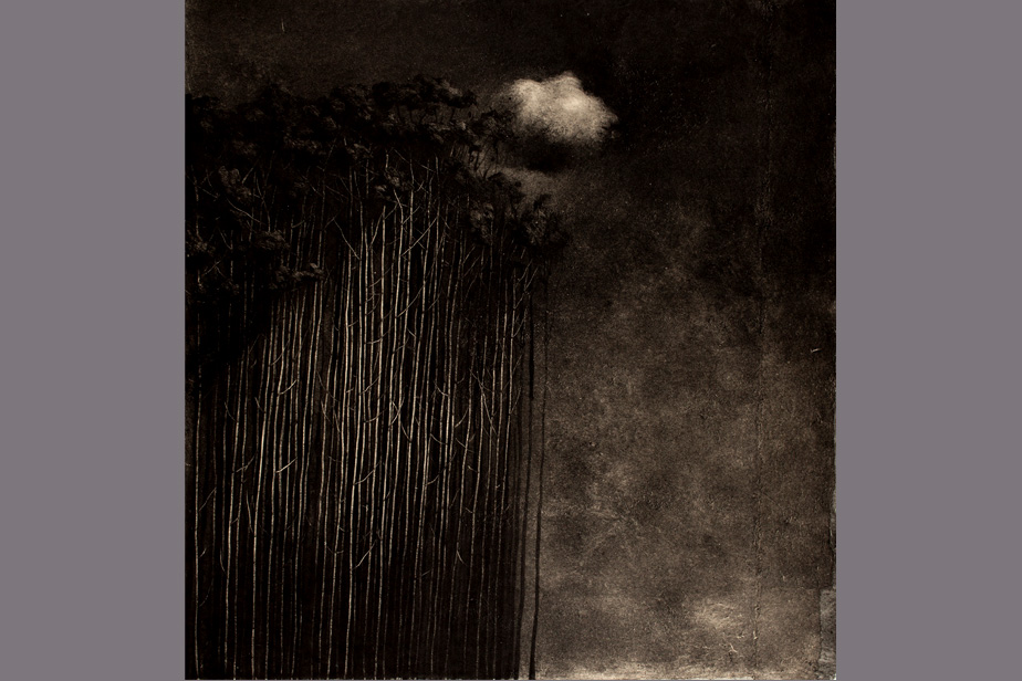 Monotype - Grande forêt et nuage - Gérard Jan