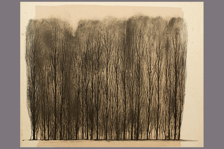 Monotype - Groupe d'arbres - Gerard Jan