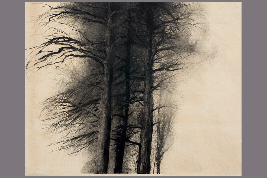 Monotype - Trois arbres - Gerard Jan