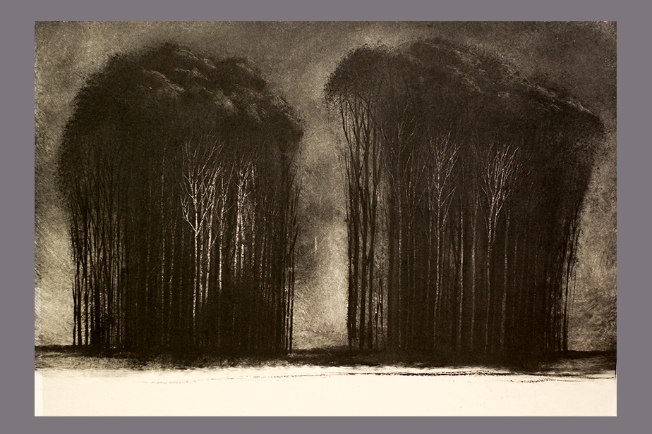Monotype - Grands arbres - Gerard Jan