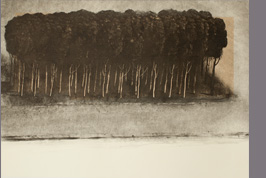 Monotype - Ramier, confluent - Gérard Jan