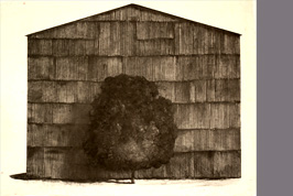 Monotype - Hangar, arbre - Gérard Jan