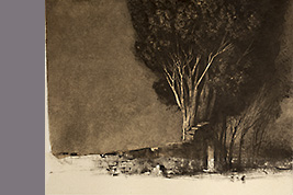Monotype - Mur d'enceinte arbre - Gérard Jan