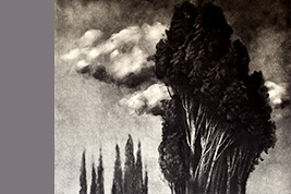 Monotype - Arbres et nuages - Gérard Jan