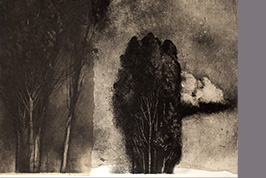 Monotype - Deux groupe d'arbres - Gérard Jan
