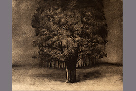 Monotype - L'arbre qui cache la forêt - Gérard Jan