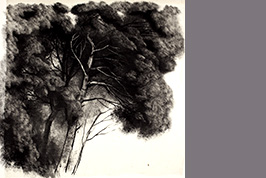 Monotype - Etude d'arbres - Gérard Jan