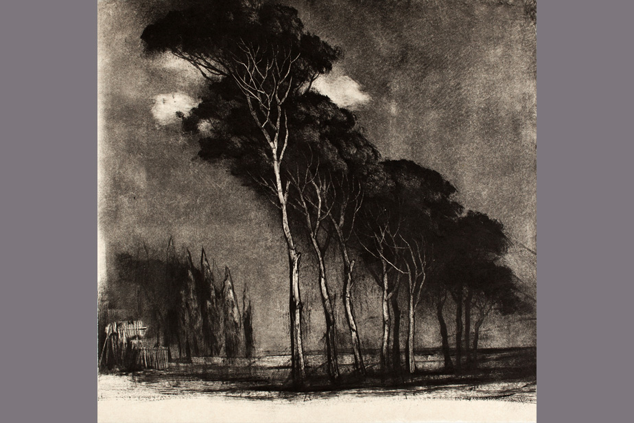 Monotype - Allée de pins, Sallèle - Gerard Jan