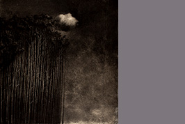 Monotype - Grande forêt et nuage - Gérard Jan